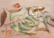 botanical drawing